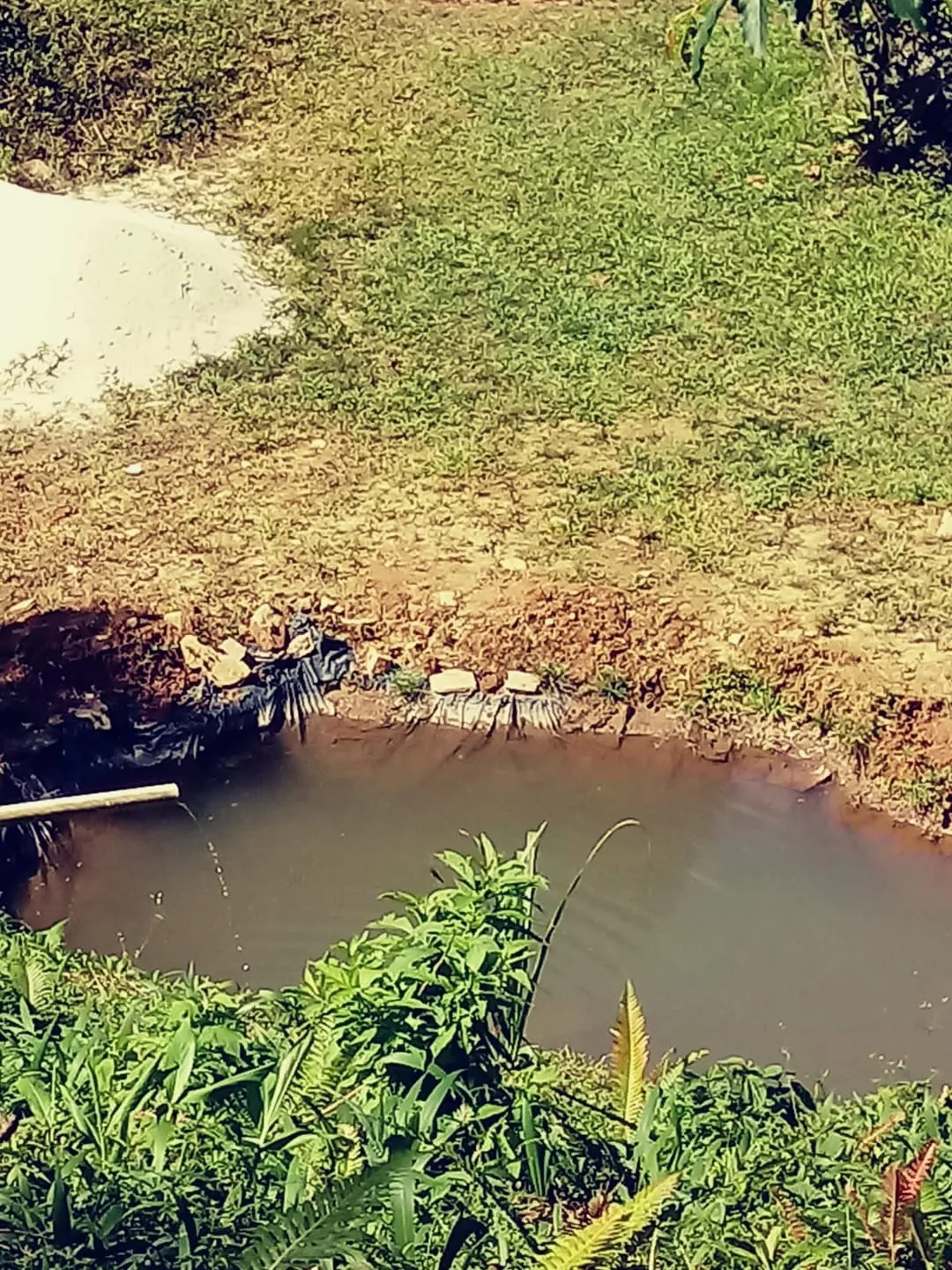 Imagem Chácara à venda 2 Quartos, 4 Vagas, 26000M², Bairro das Oliveiras, Pindamonhangaba - SP