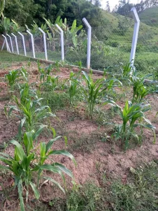 Imagem Sitio-para-Venda-em-Piloes-Guaratingueta-SP