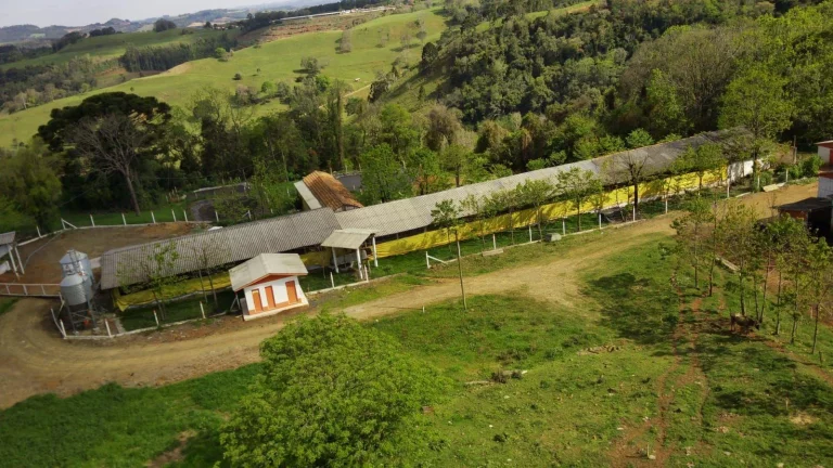 Imagem Granja para Venda em Concórdia, Rural