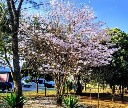 Imagem Piratininga/SP, Residencial Vale Florido II, Casa 126m², 03