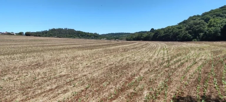 Imagem Chácara à venda em Cascavel - São Salvador - Lavoura e Rio
