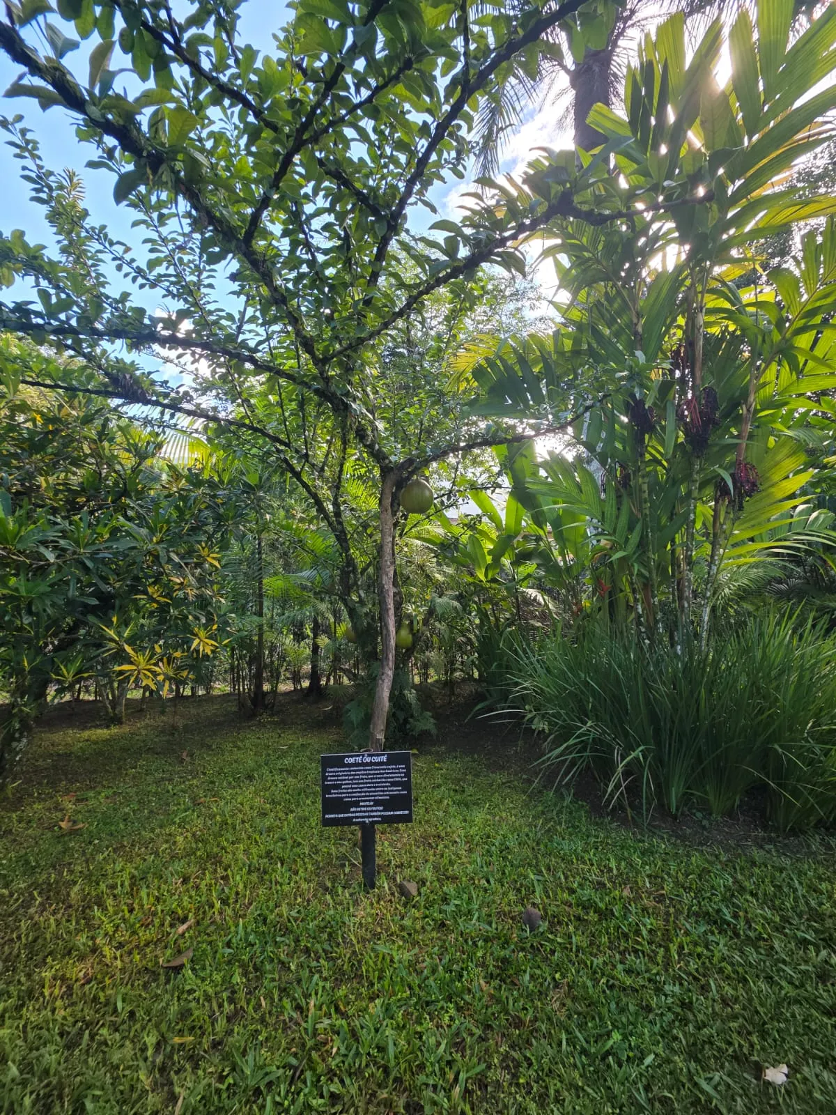 Imagem Charmosa Casa em condomínio no Park Imperial em Caraguatatuba