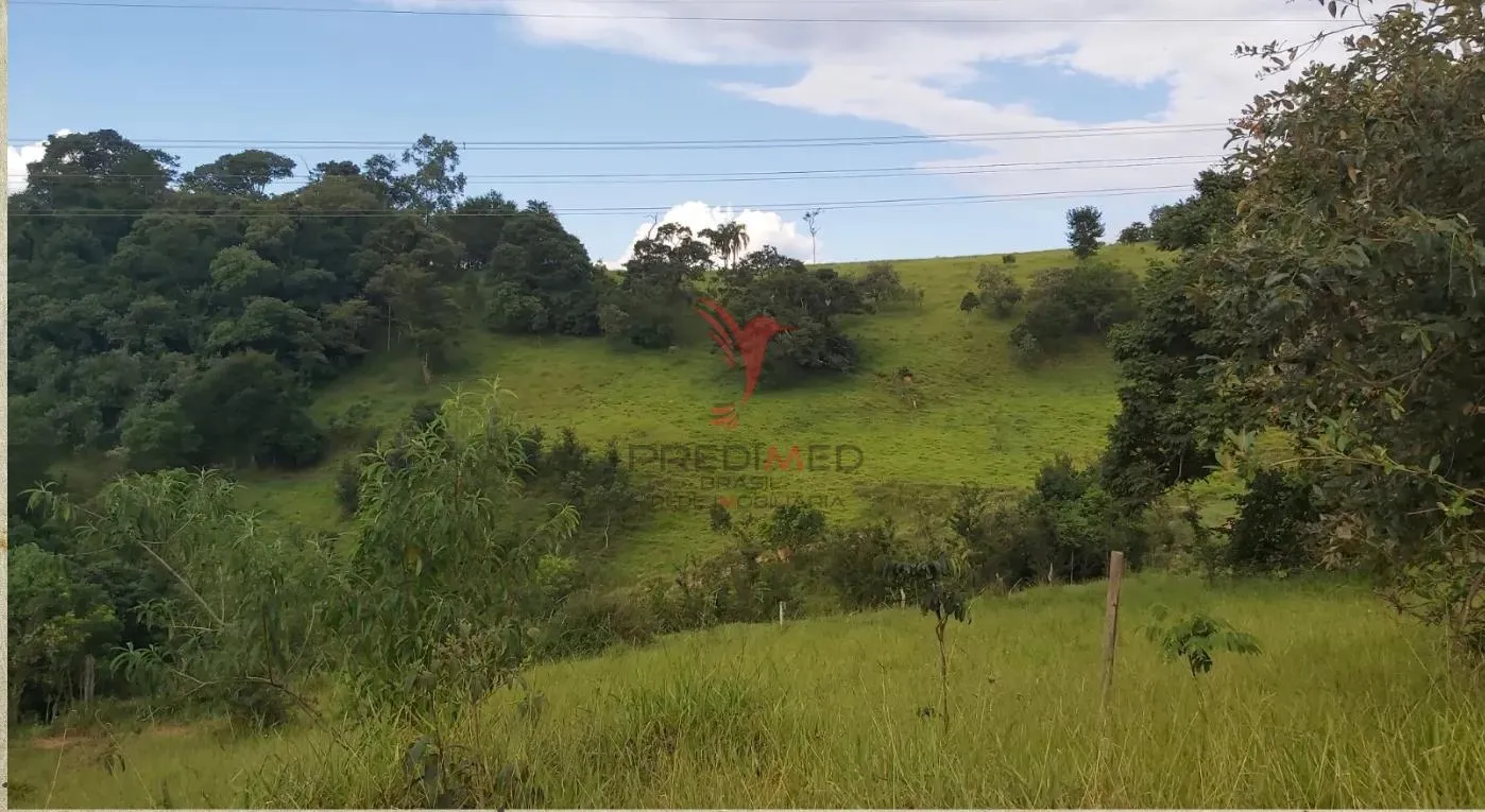 Imagem Sitio oportunidade em Araçariguama: Refúgio Completo,.20.minutos do Alphaville. São Paulo