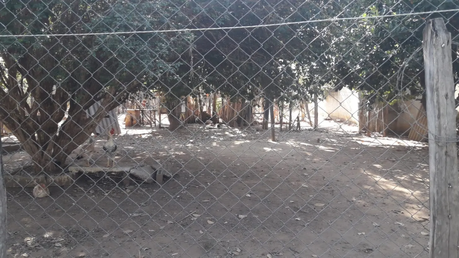 Imagem Chácara à venda 4 Quartos, 3 Suites, 4 Vagas, 2000M², Goiabal, Pindamonhangaba - SP