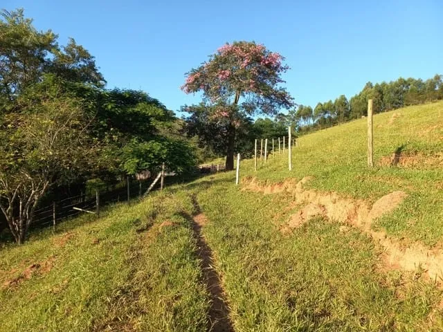 Imagem Chácara à venda 121000M², Rio Abaixo, São Luiz do Paraitinga - SP