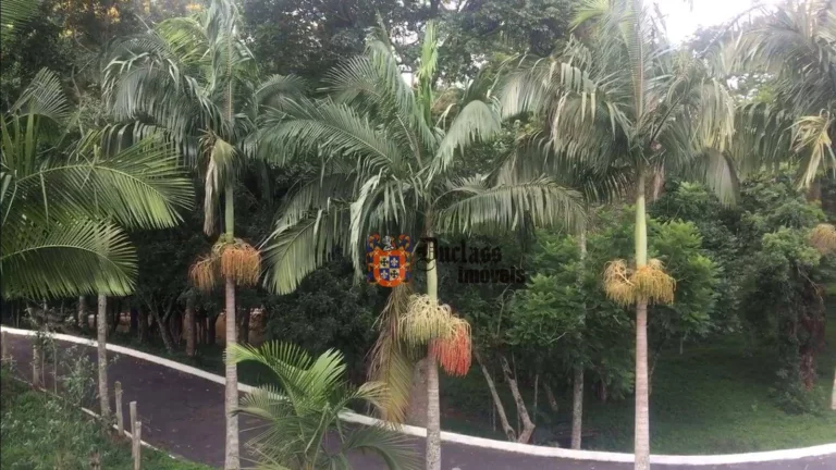 Imagem Terreno à venda, 20000 m² por R$ 770.000,00 - Campo Largo - Jarinu/SP