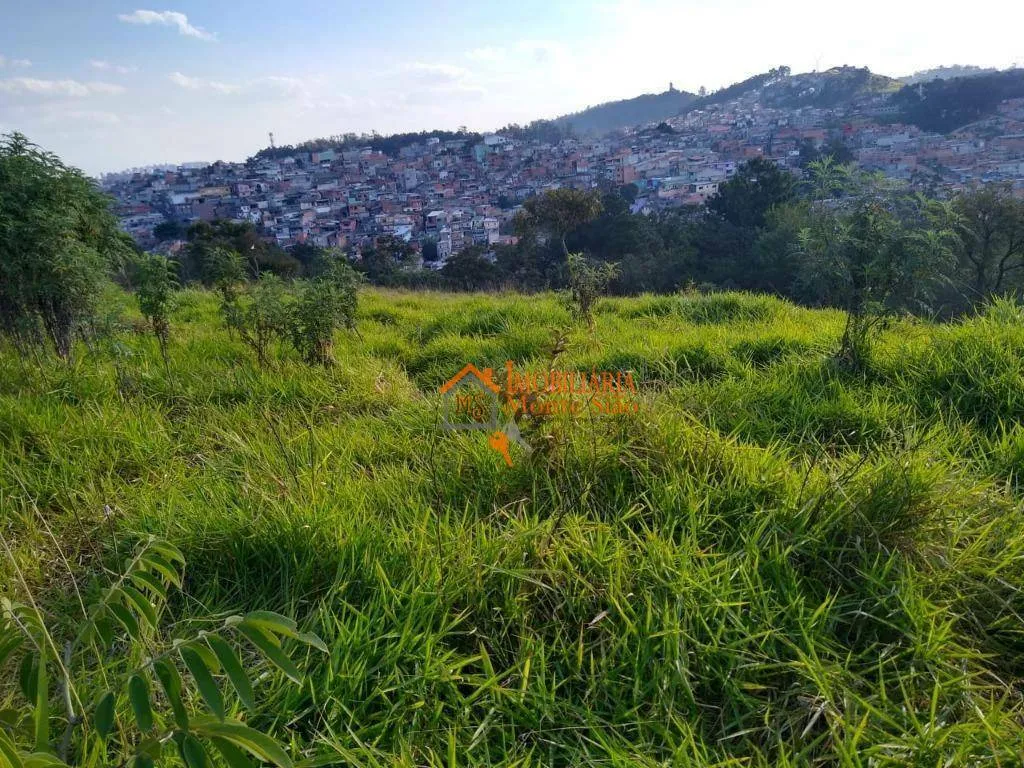 Imagem Área à venda, 39000 m² por R$ 25.000.000,00 - Parque Primavera - Guarulhos/SP