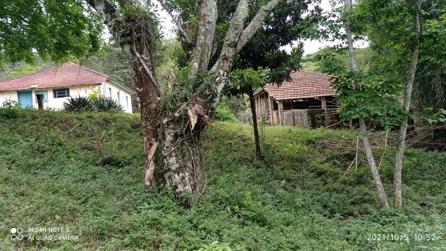 Imagem Sítio em Joanópolis - 11 alqueires