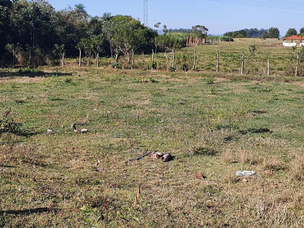 Imagem Chácara à venda 2 Quartos, 50000M², Zona Rural, Potim - SP