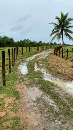 Imagem Chácara à Venda, 450.000 m² em Centro - Santo Antônio do Tauá