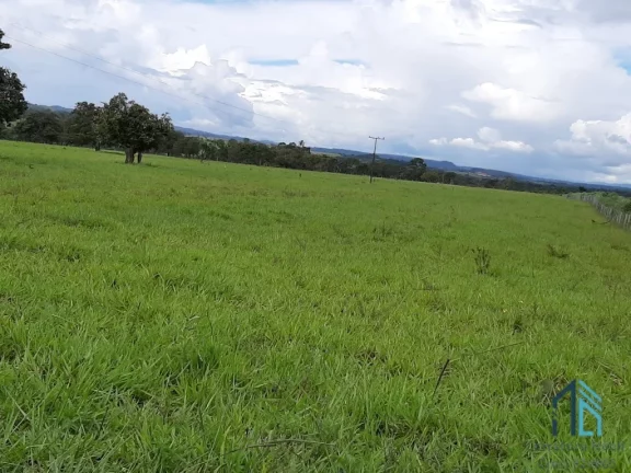 Imagem Fazenda linda 39 alqueires, com casa peão e casa sede, Município de Mossamedes GO