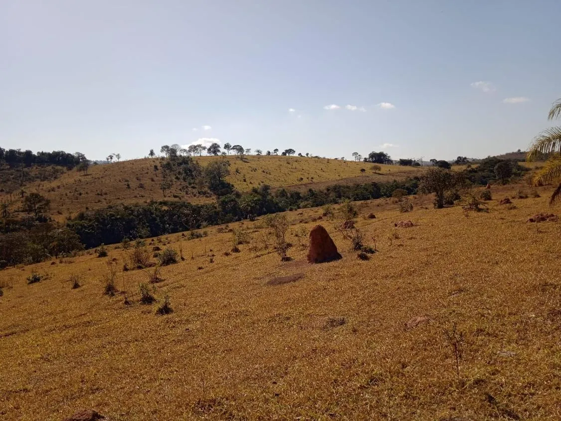 Imagem Vendo Excelente Fazenda em Bonfim/MG 90 hectares de terra