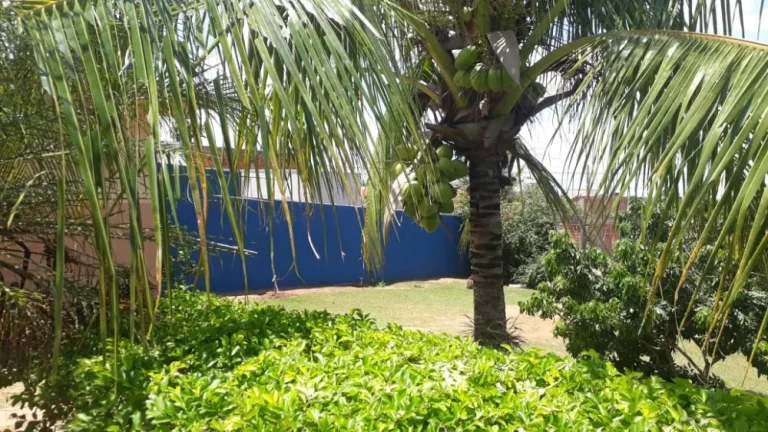 Imagem Chácara à venda  Quinta da Bela Olinda  Bauru/SP  888m²