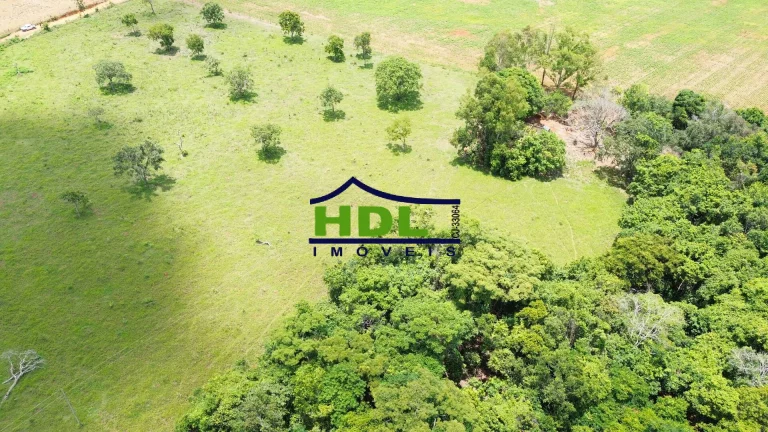 Imagem Chácara 3 Hectares com energia e quintal