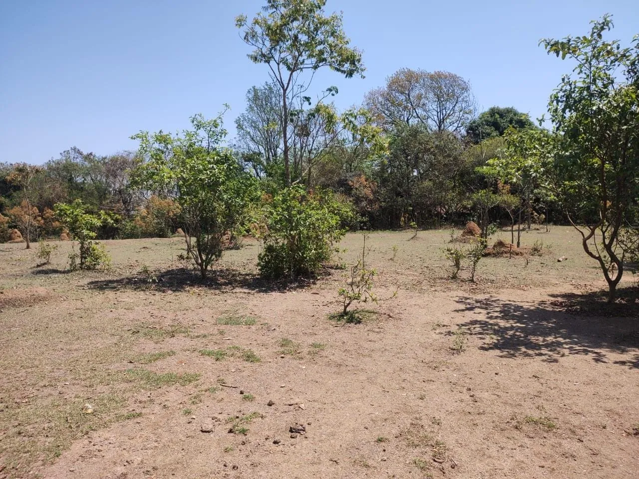 Imagem Chácara à venda, Goiabal, Pindamonhangaba, SP