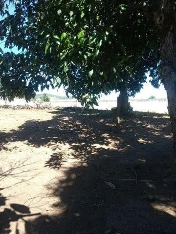 Imagem Chácara à venda 4000M², Goiabal, Pindamonhangaba - SP