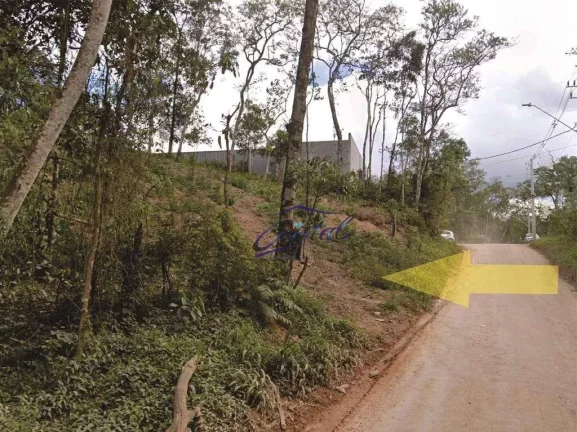 Imagem Chácara Recanto Verde - 2 Lotes (total 2.092,72 m²) Km 39 Raposo Tavares