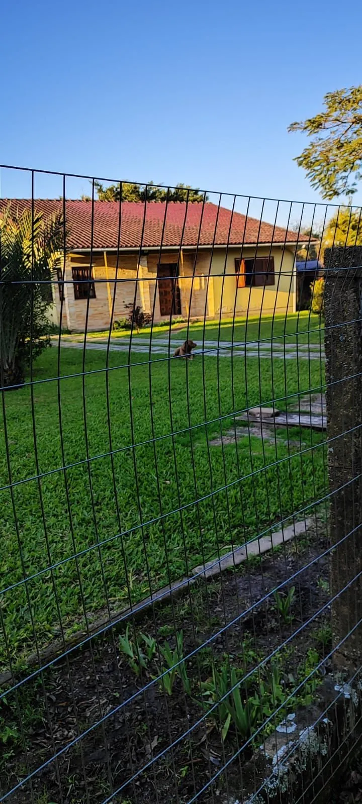 Imagem Lindo sitio á venda no Lami