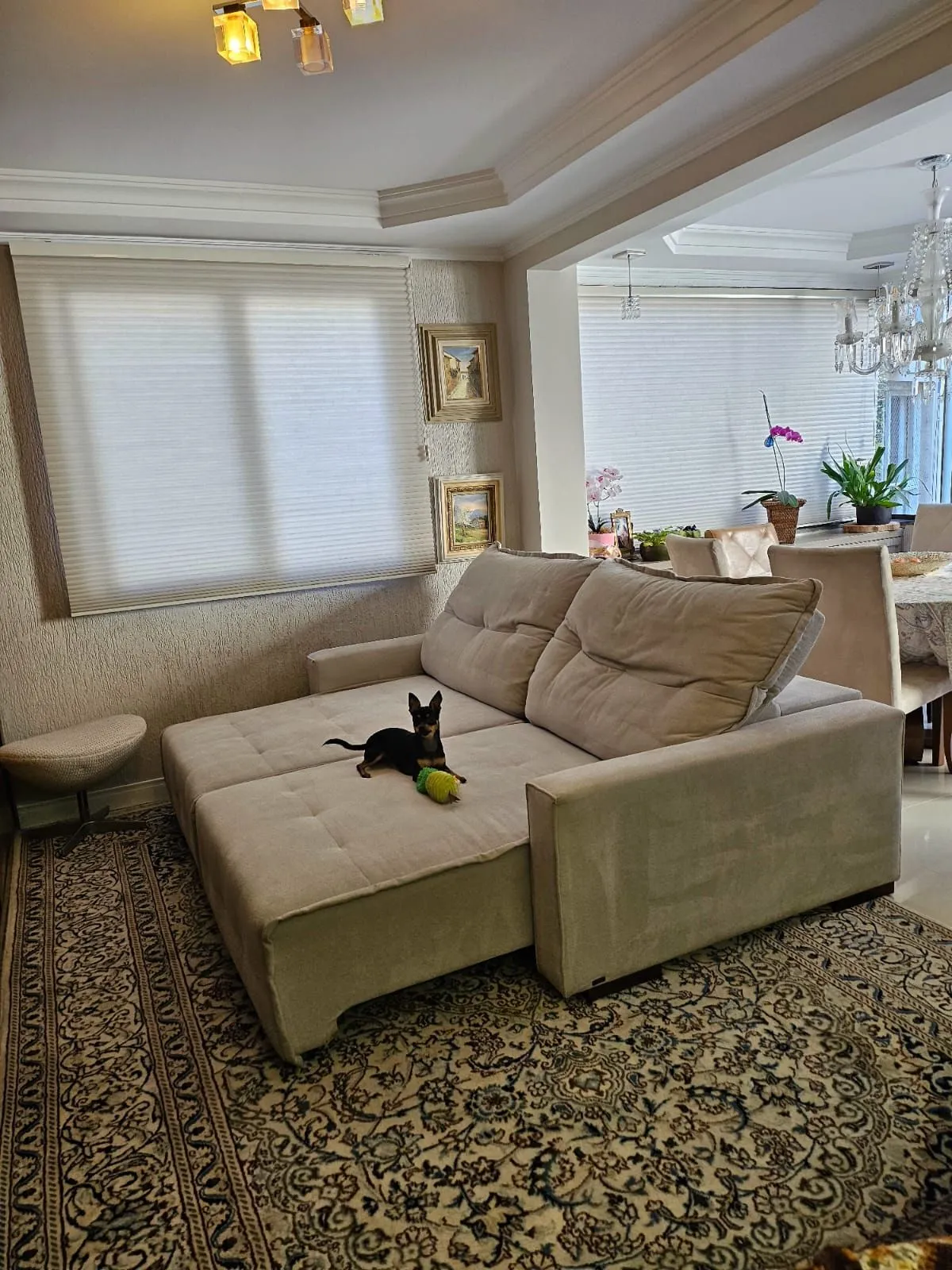 Imagem Apartamento 77,24m² à venda com Churrasqueira e Vaga no Bela Vista!