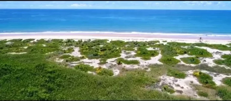 Foto do imóvel Fazenda Prazeres Piracanga