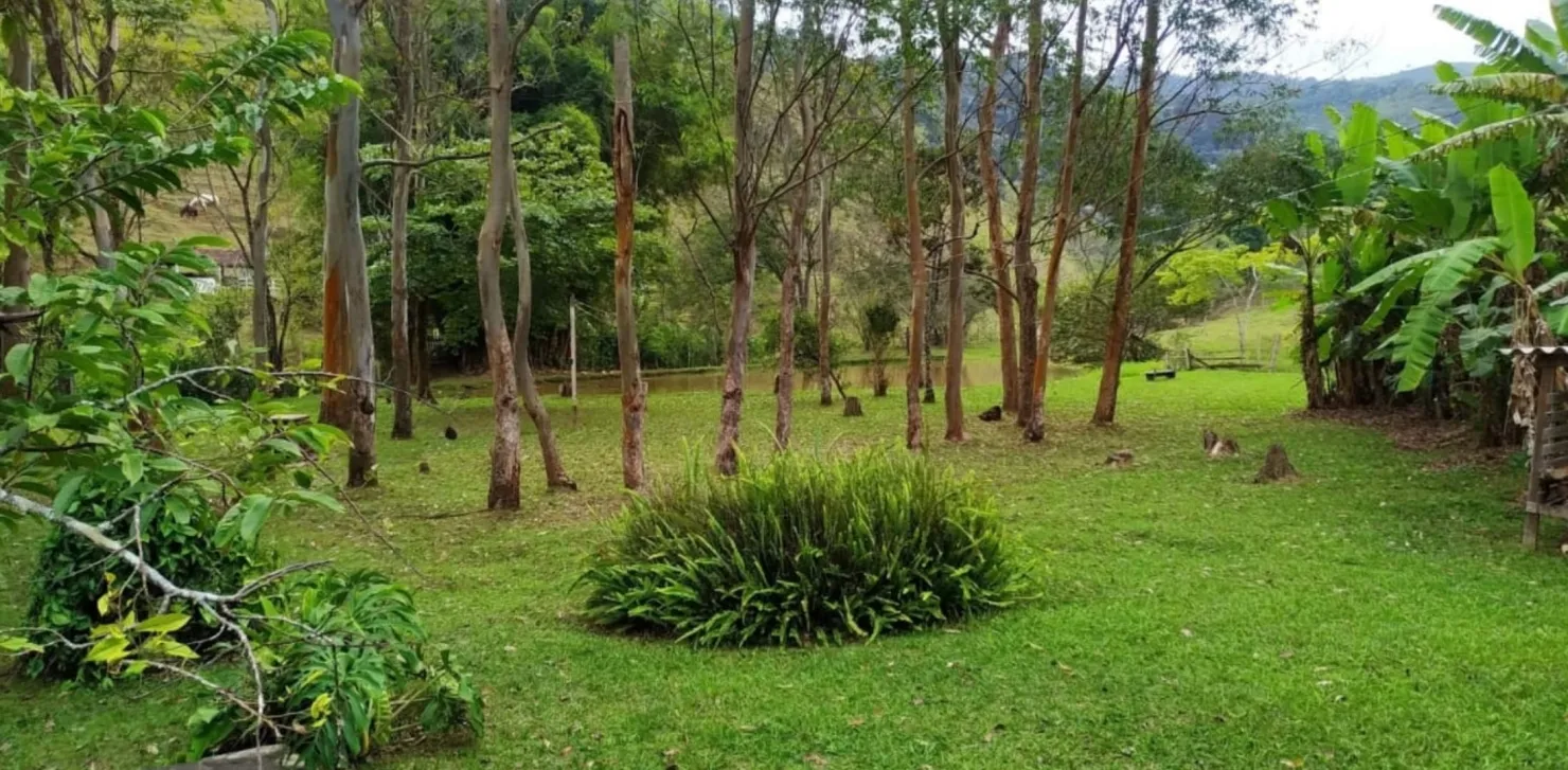 Imagem Chácara à venda 3 Quartos, 1 Suite, 488000M², Zona Rural, Monteiro Lobato - SP