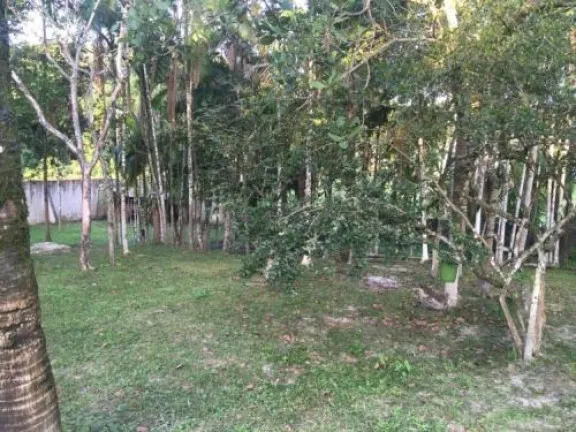 Imagem Chácara com 2 Quartos à Venda, 4.000 m² em Jd. Coronel - Itanhaém