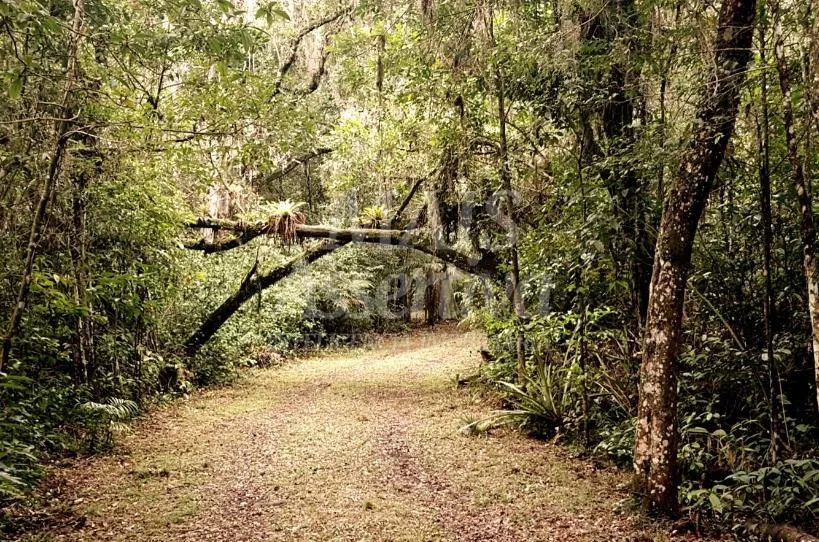Imagem Excelente propriedade as margens da Lagoa das Malvas em Maquiné/RS - AIRBNB