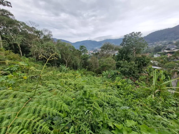 Imagem Vendo este terreno com 7.380,00m2. Bairro Cascatinha. Nova Friburgo.
