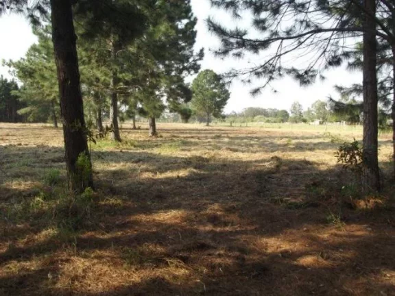 Imagem INVESTIDORES!!! Excelente área de 8 Hectares, frente RS040, Águas Claras