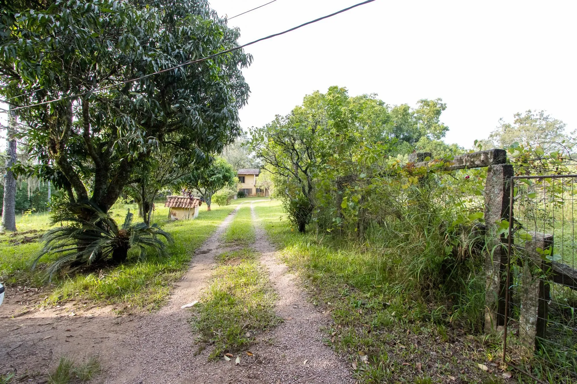 Imagem Área medindo 33.426m²!