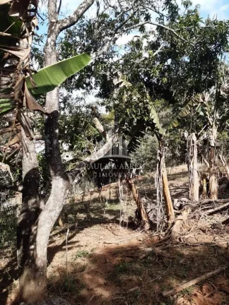 Imagem Terreno de 4.357 m² Só fazer pequena Terraplanagem Para Construir sua Casa em Socorro-SP