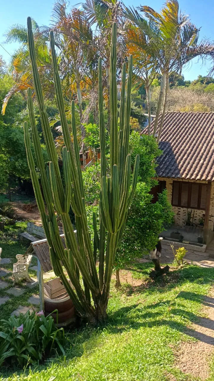 Imagem Casa à venda em Viamão no bairro São Lucas