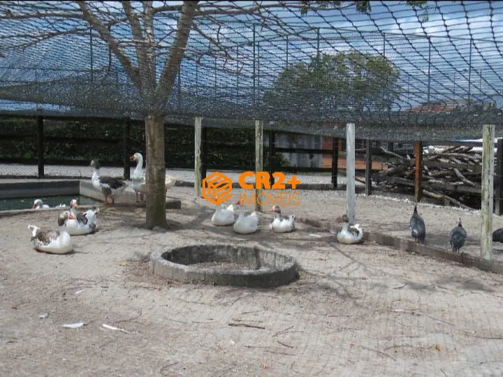 Imagem Flat á Venda 62m² com 3 Quartos sendo 1 Suíte, em Gravatá.