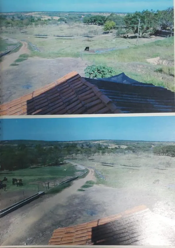 Imagem FAZENDA À VENDA - MORRO DA GARÇA (MG) 208 hectares de área total,