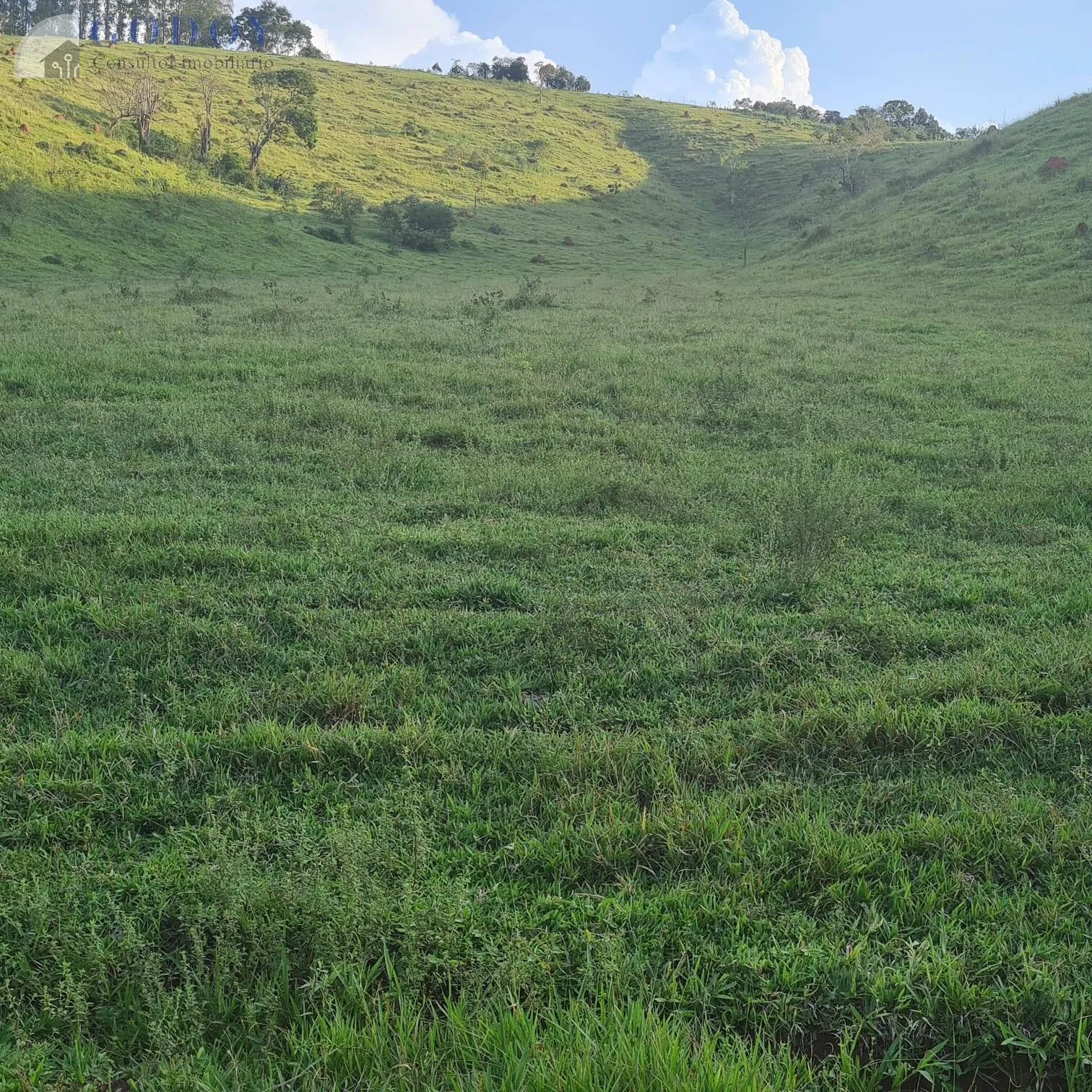 Imagem Área Rural à Venda com Ótimo Acesso e Energia - 2,3 Alqueires