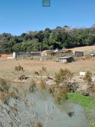 Imagem Terreno incrível para criação de animais e plantio