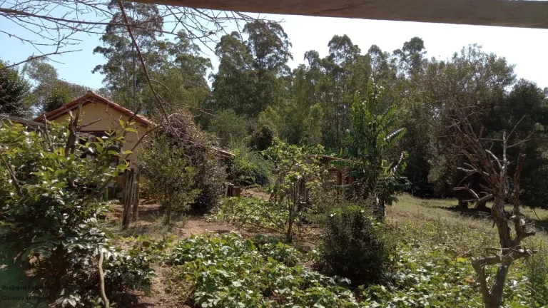 Foto do imóvel SITIO RURAL em CALDAS - MG, COROADO