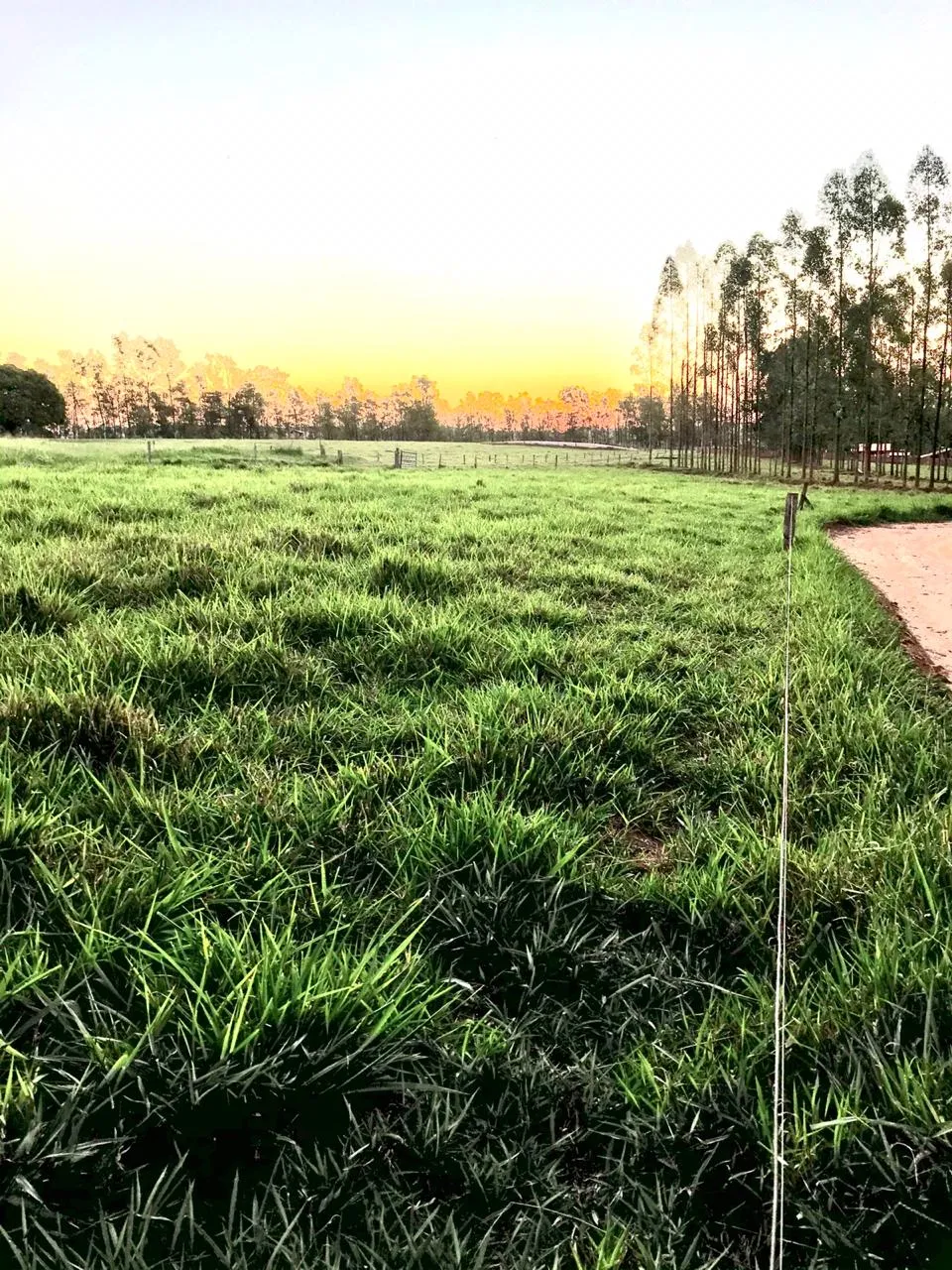 Imagem Chácara 20000m Umuarama-PR 344