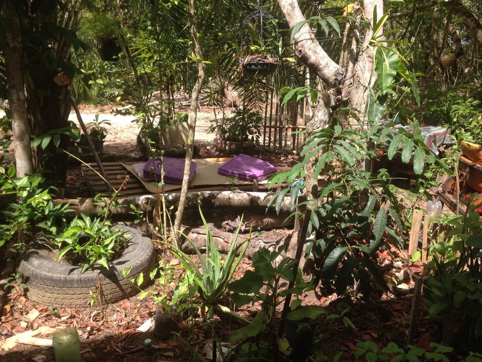 Foto do imóvel Terreno com cabana em madeira a venda na praia do forte, no bairro Lagoa Aruá área de 1.000 m2 em Lagoa do Aruá, Mata de São João - Bahia