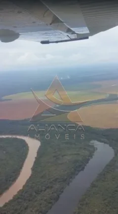 Imagem Fazenda - João Pinheiro - João Pinheiro