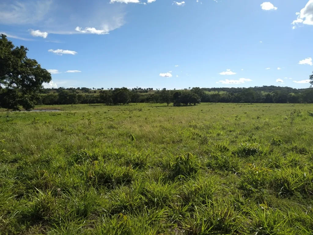 Imagem Fazenda de Rio Negro Mato Grosso do Sul-MS, Farms for sale in Brazil, farms in Brazil, Brazil farms