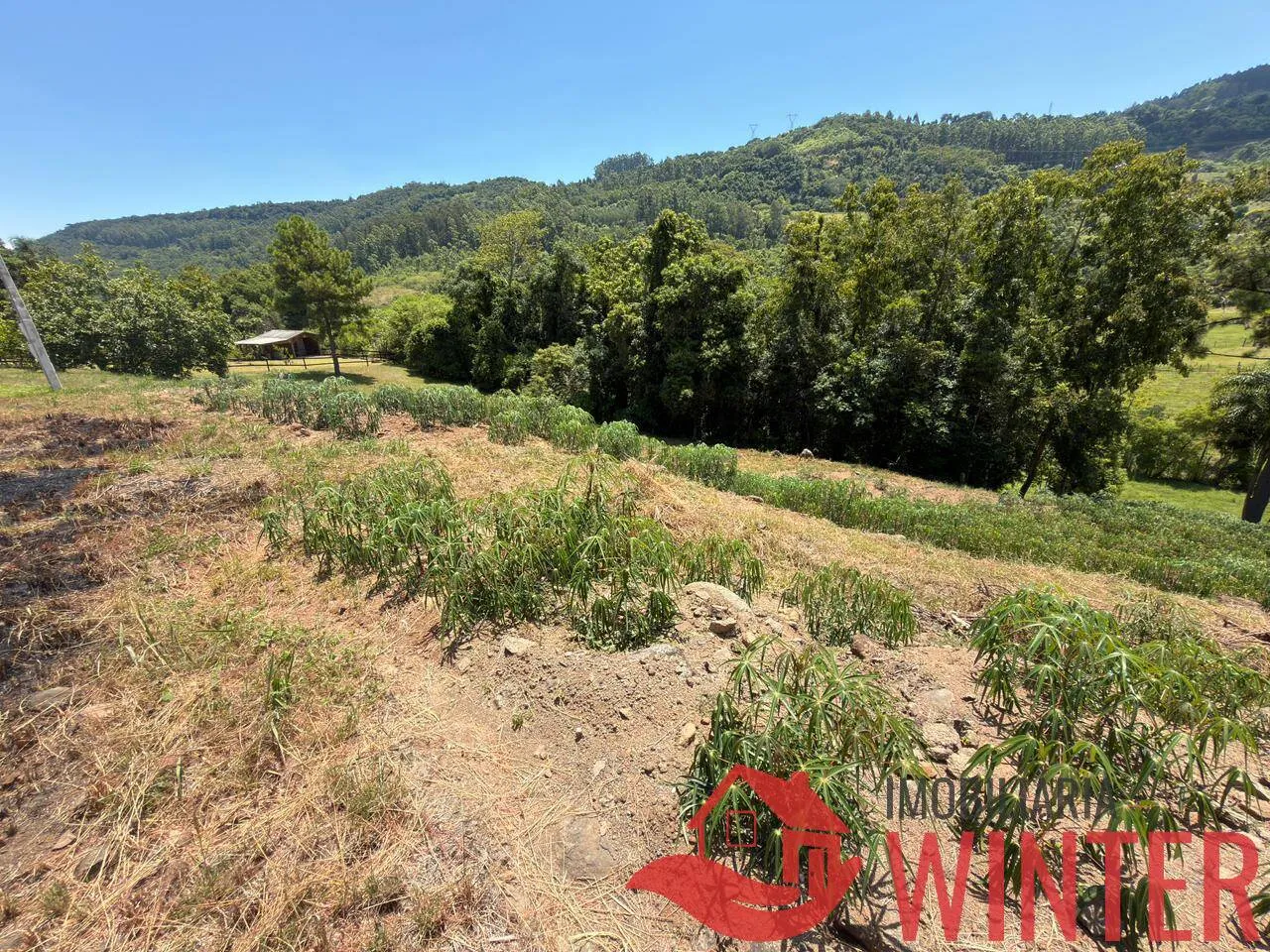 Imagem Terreno com 846,90 m2 no São Roque