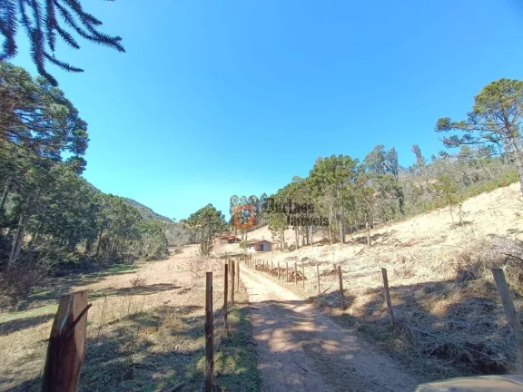 Imagem Sítio com 5 dormitórios à venda, 126000 m² por R$ 2.750.000,00 - Bom Jardim - Camanducaia/MG