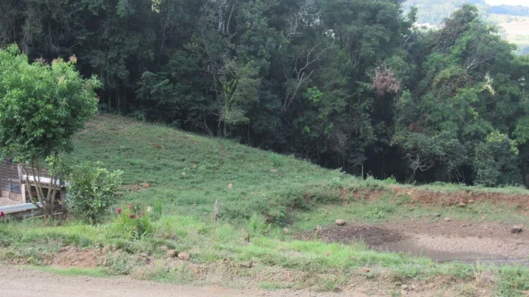 Imagem Área Agrícola para Venda em Peritiba, Lageado Mirim