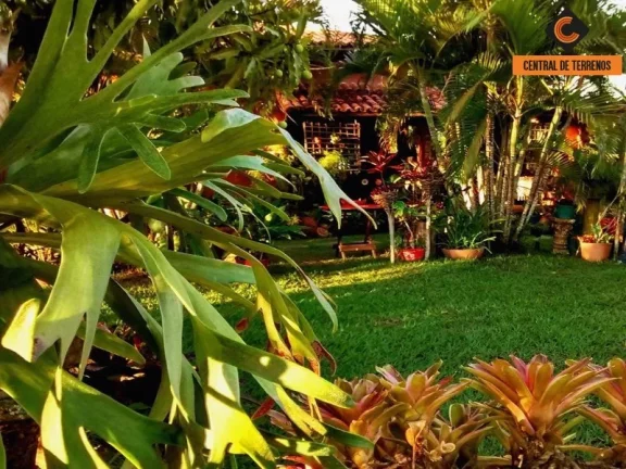 Imagem SITIO EM BARRA DE POJUCA