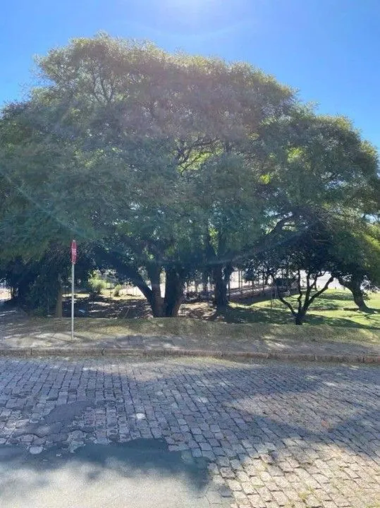 Imagem Apartamento em Medianeira