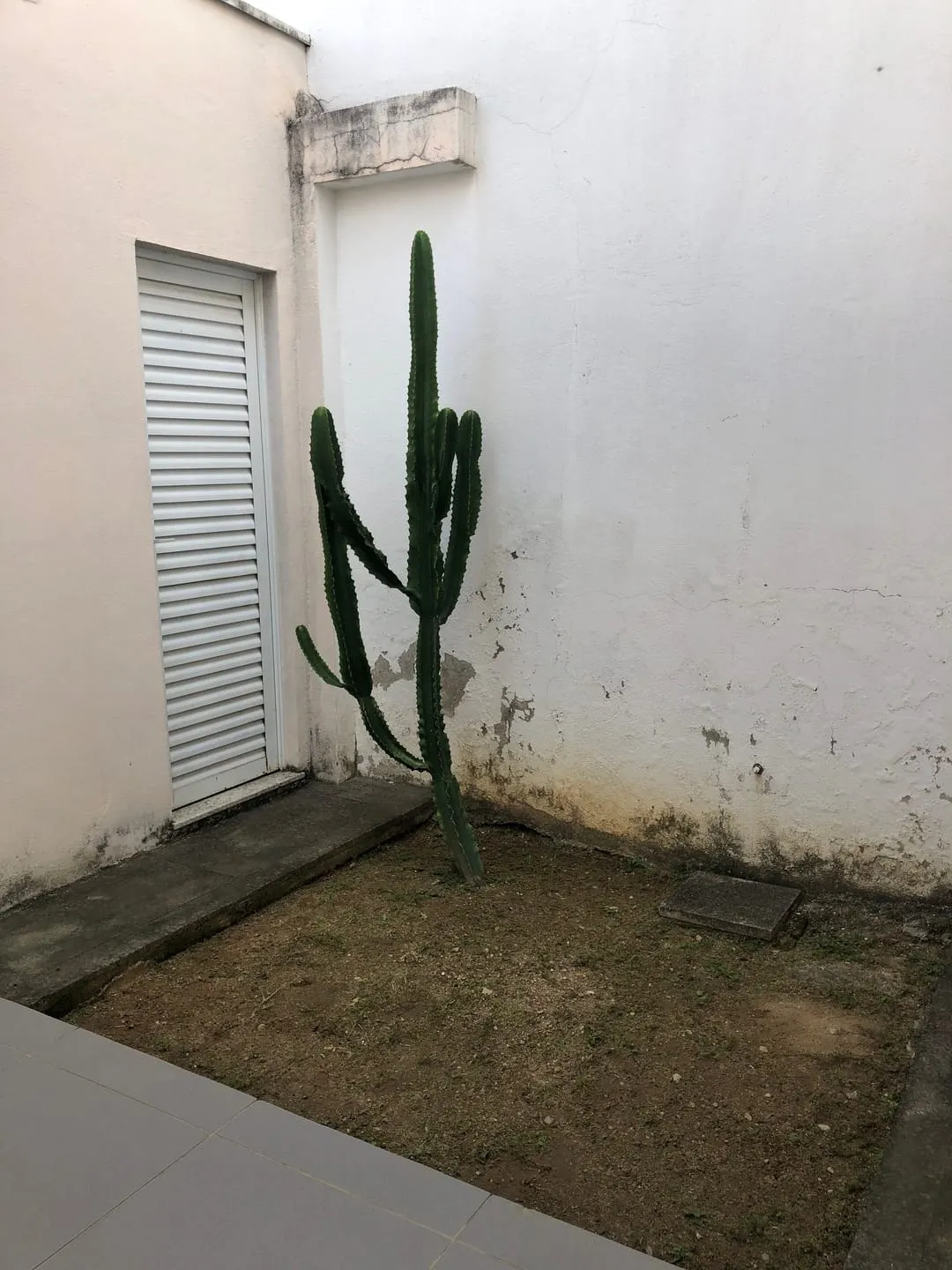 Imagem Casa à venda 3 Quartos, 1 Suite, 2 Vagas, 133.33M², Residencial Mombaça, Pindamonhangaba - SP
