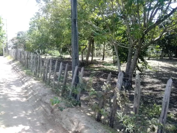 Imagem Glebas na Ponta da Baleia