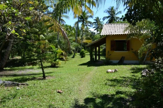 Imagem ÁREA NA PRAIA DO GUAIÚ NO EXTREMO SUL DA BAHIA