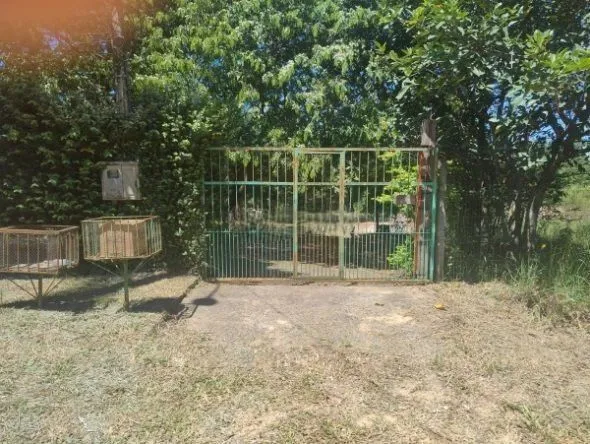 Imagem Oportunidade Única! Terreno Residencial com 1.943m² à Venda em Viamão, RS